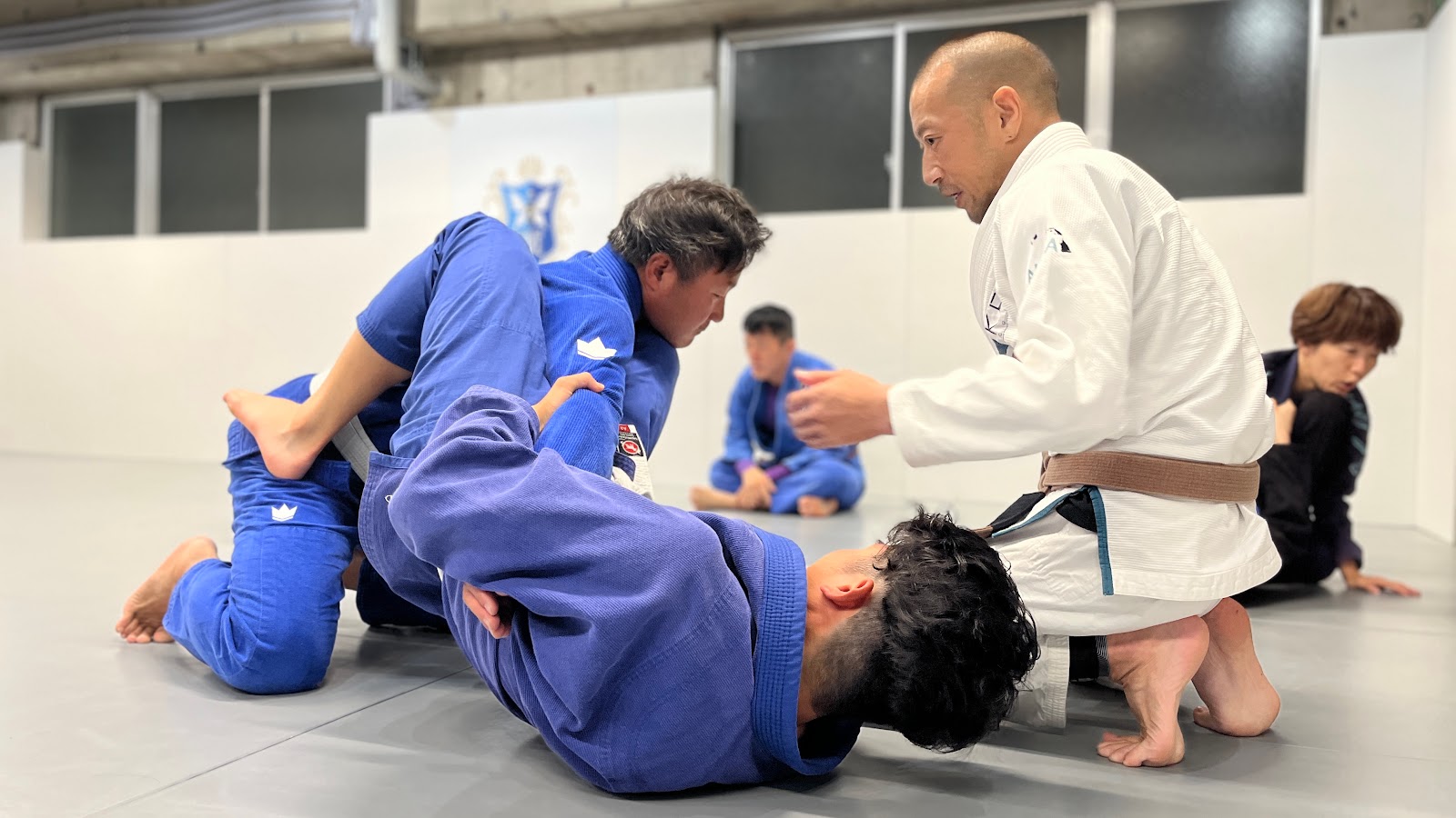 CAVE BJJ 柔術ジムの風景