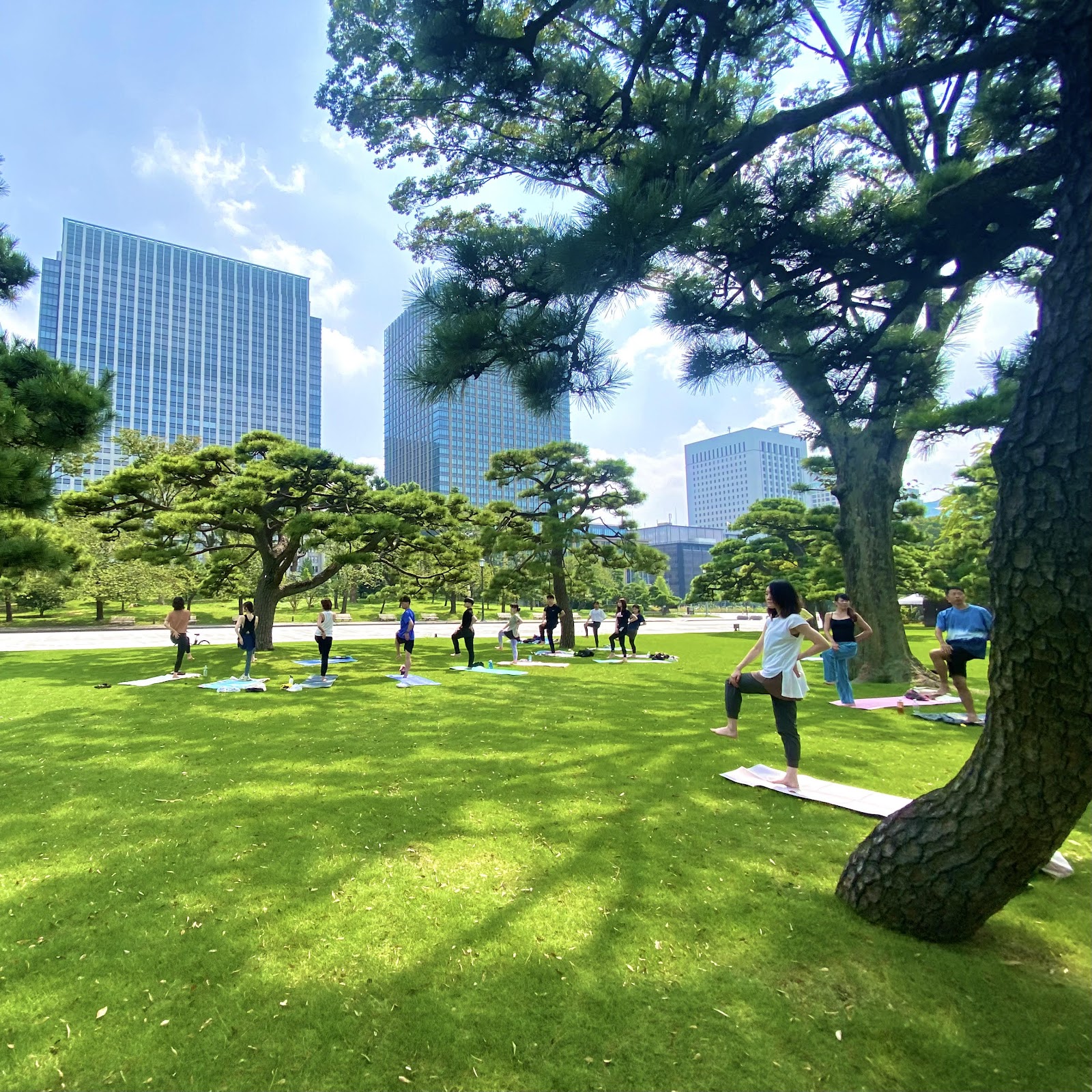 BANYAN TREE YOGA（バンヤンツリーヨガ）の風景