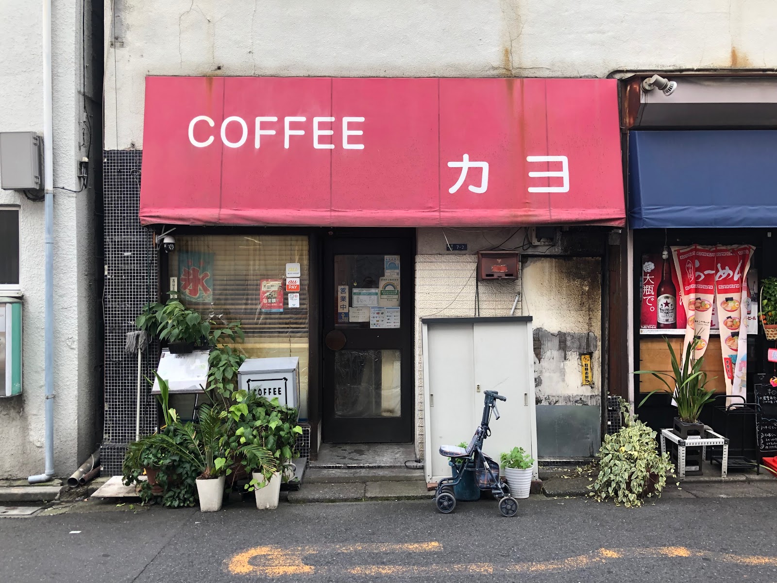 カヨの写真