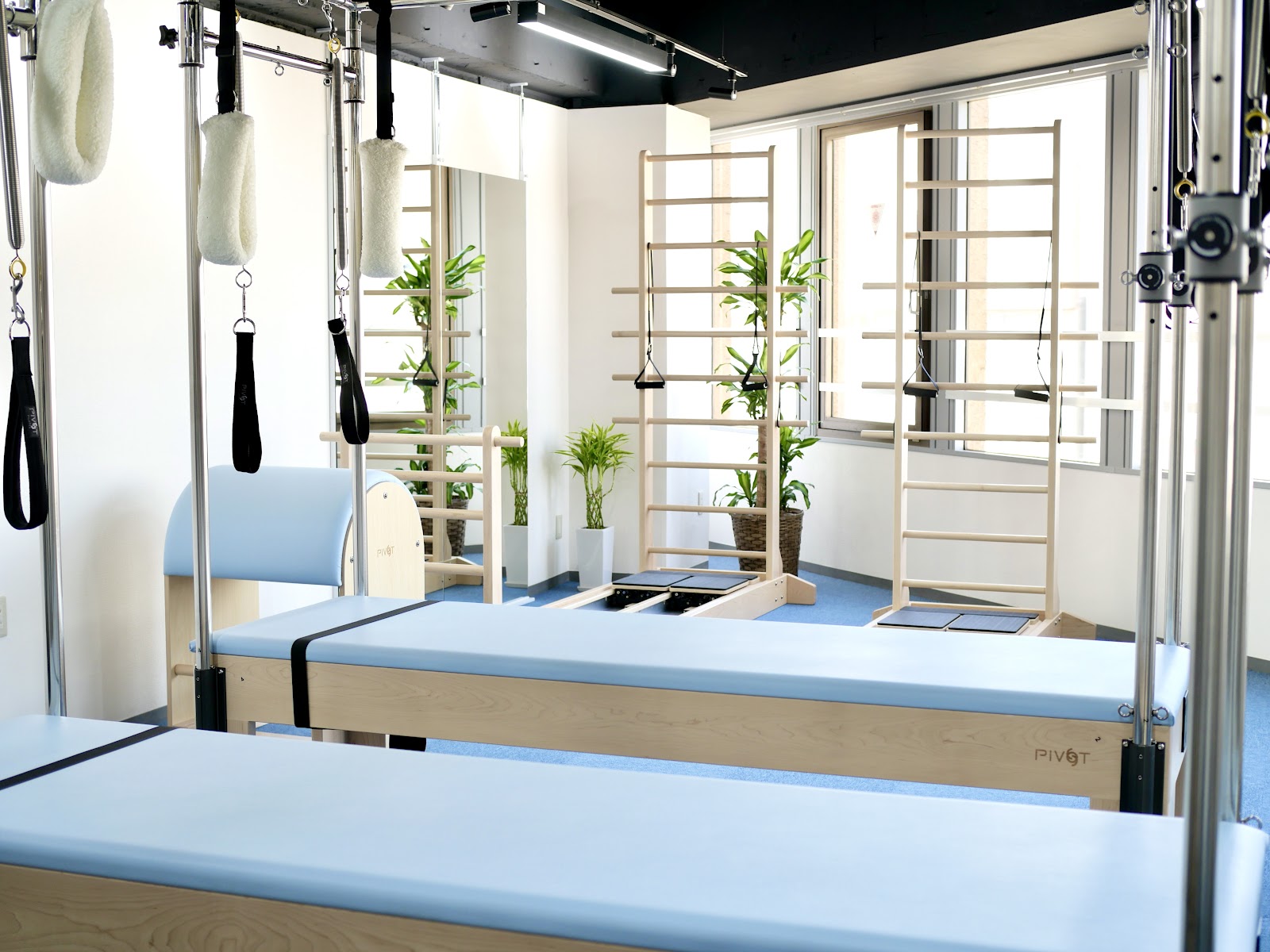 Physio Pilates Conditioning Studioの写真
