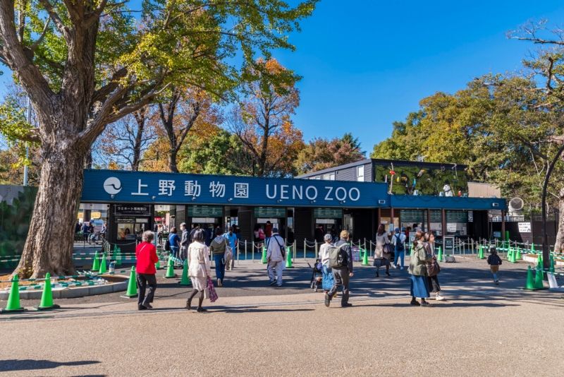 上野動物園のイメージ