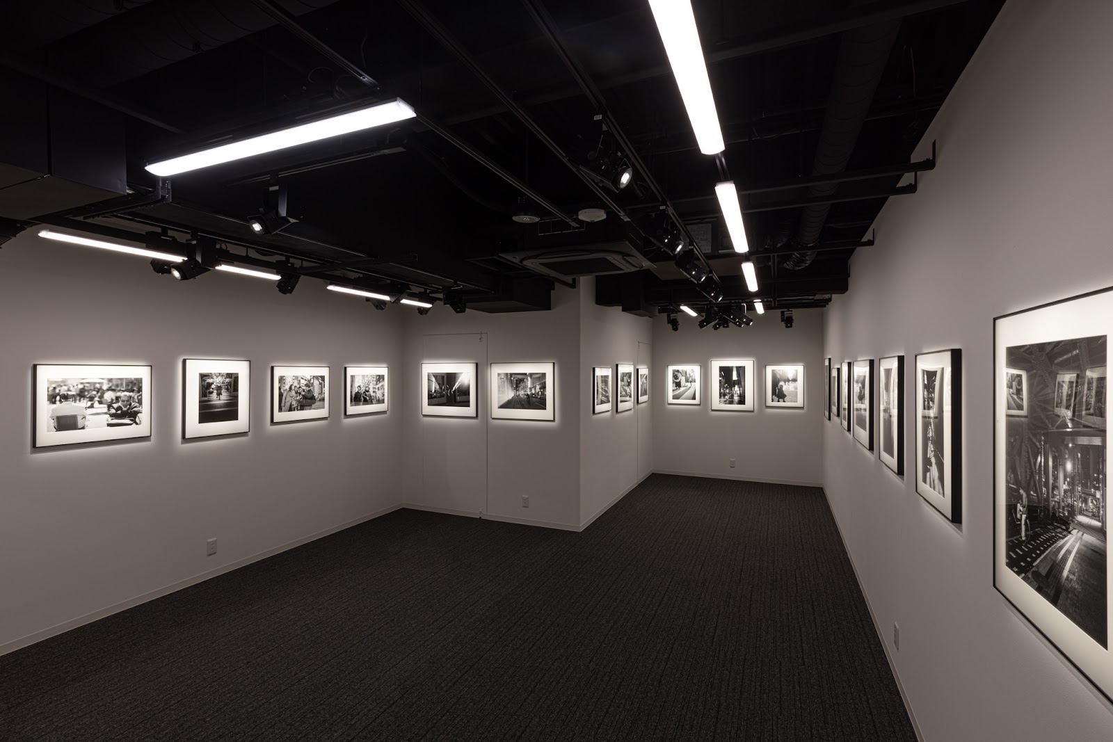 HIKO HIKO GALLERYの写真