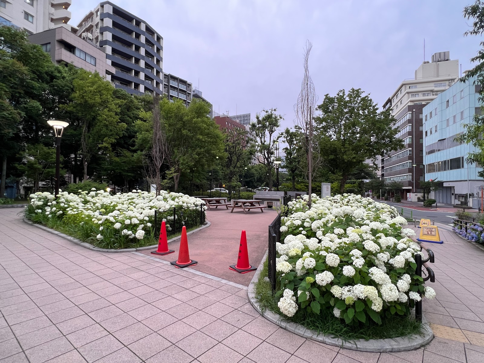 築地川公園 デイキャンプ場の風景